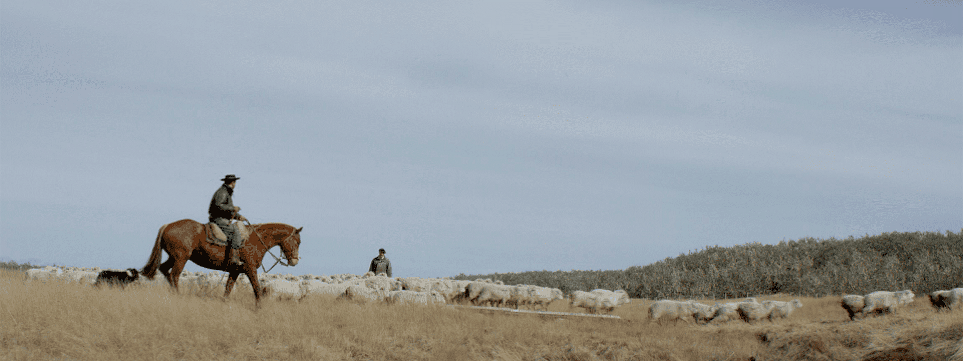 Perros del fin del mundo